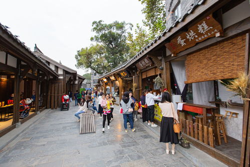 顏值與藝術齊飛,生態與繁華共融 錦江區這2條公園城市示范街區很精彩