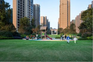 新力鈺瓏灣 金盤(pán)網(wǎng)