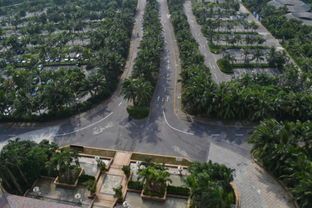 融創(chuàng)觀瀾湖公園壹號三期在售 均價(jià)17000元 ㎡帶裝修