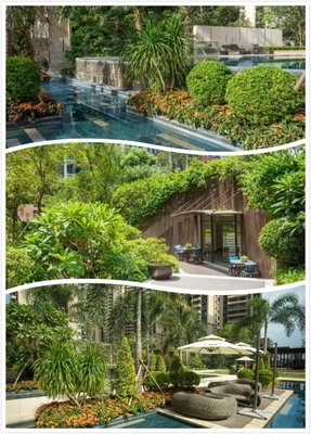 方直集團(tuán):深耕粵港澳,多元化發(fā)展路線鑄就理想生活