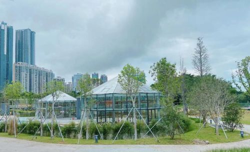 國內首座 亭臺 淺灘 步道 羅湖這一新晉打卡點竟還有隱藏功能