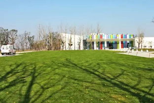 為了2022年杭州亞運(yùn)會,蕭山出了全民大計(jì)劃 還有個(gè)蕭山版 中央公園 ....