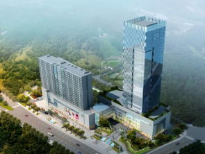 四川藍圖 未來五年打造最美農業主題公園、國際康養城、文化特色街區與園林實業