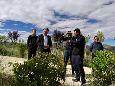 我院攜手日喀則市云鑫生態園林綠化有限責任公司與西藏云旺實業簽訂共建產教融合實訓基地協議