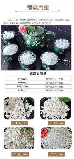 2022新篇章 望城水磨石子公司與園林實(shí)業(yè)攜手共筑實(shí)業(yè)集團(tuán)未來